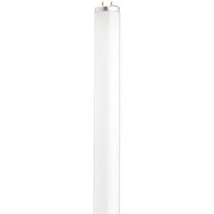 Satco S6564 Fluorescent T12