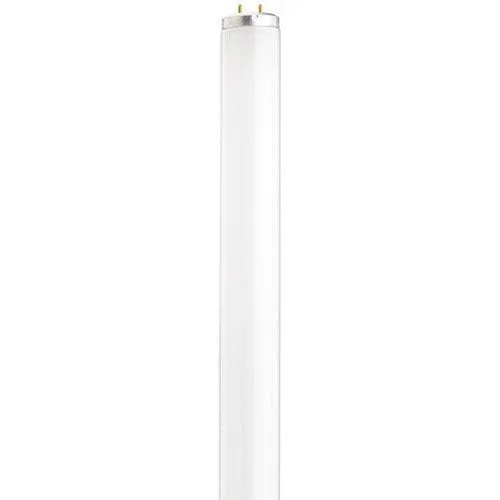 Satco S6564 Fluorescent T12